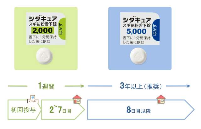シダキュアの服用手順